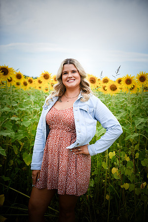 Sunflowers [Randi] 107