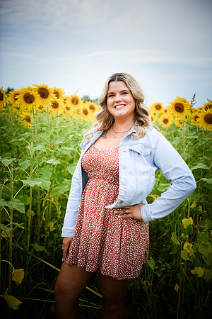 Sunflowers [Randi] 108