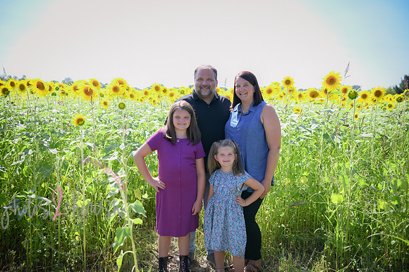 Sunflowers [Flagner] 004