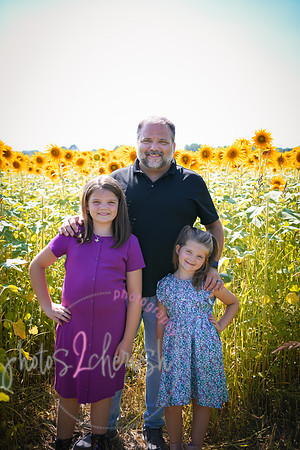 Sunflowers [Flagner] 011