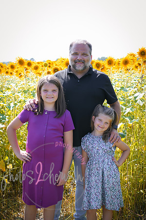 Sunflowers [Flagner] 013