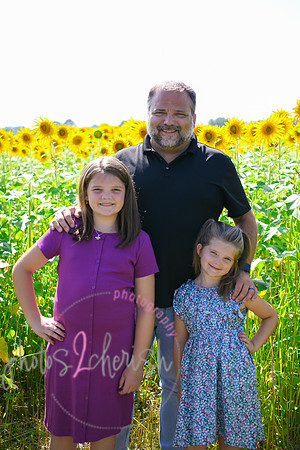 Sunflowers [Flagner] 014