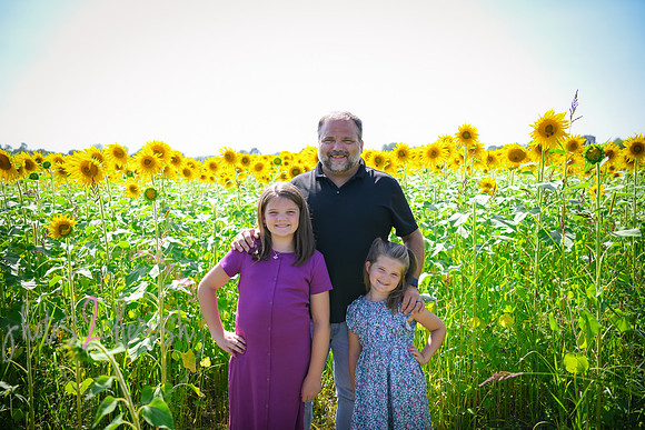Sunflowers [Flagner] 015