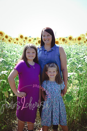 Sunflowers [Flagner] 022