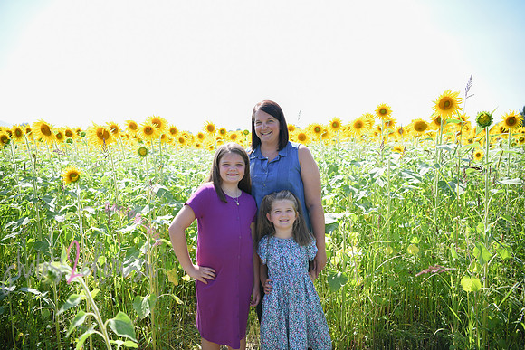 Sunflowers [Flagner] 024