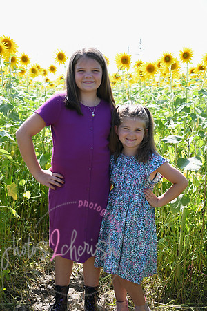 Sunflowers [Flagner] 031