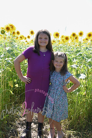 Sunflowers [Flagner] 032