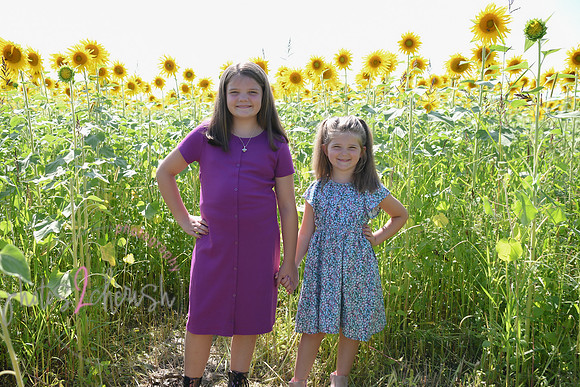 Sunflowers [Flagner] 036