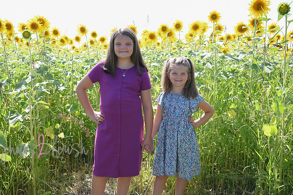 Sunflowers [Flagner] 037