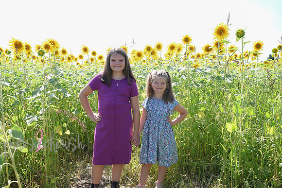 Sunflowers [Flagner] 038