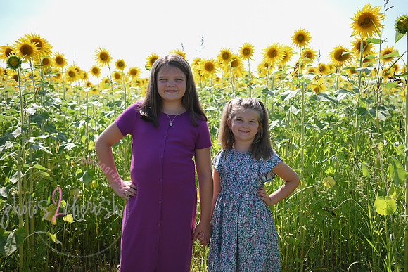 Sunflowers [Flagner] 039