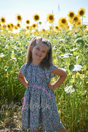Sunflowers [Flagner] 041