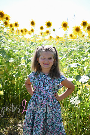 Sunflowers [Flagner] 046
