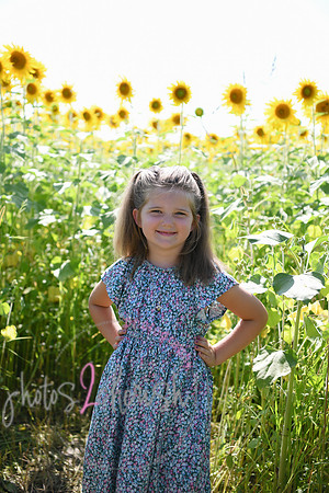 Sunflowers [Flagner] 047