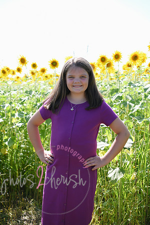 Sunflowers [Flagner] 048