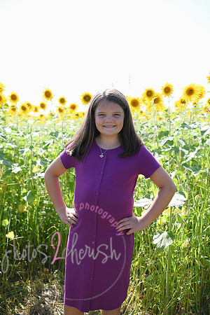 Sunflowers [Flagner] 049