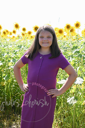 Sunflowers [Flagner] 052