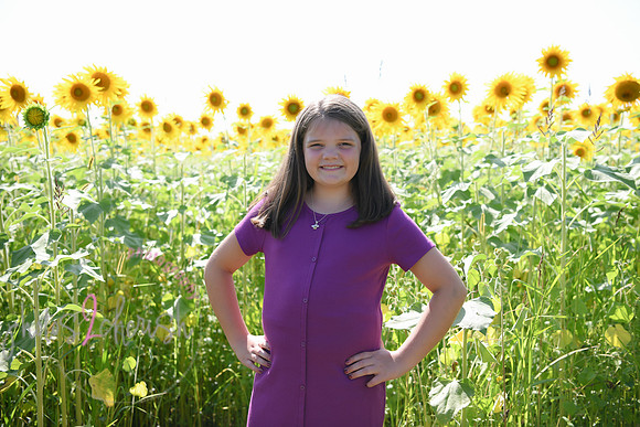 Sunflowers [Flagner] 054