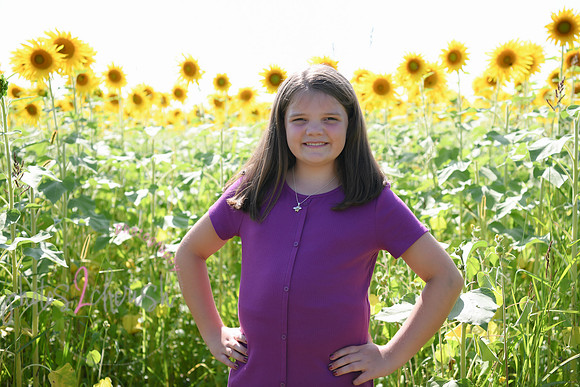 Sunflowers [Flagner] 055