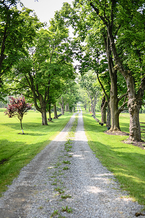 Carter & Marlah Wedding Photos [grounds] 018