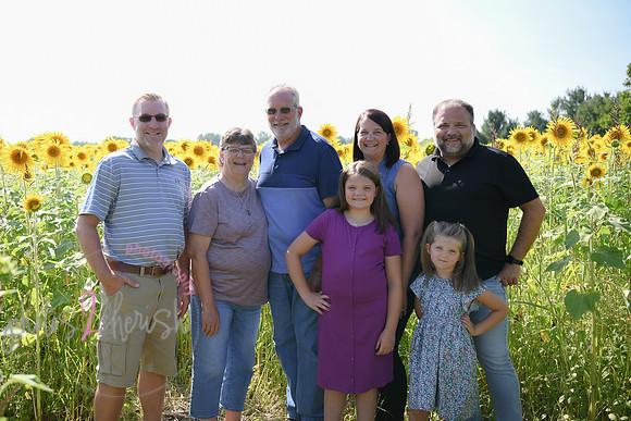 Sunflowers [Flagner] 059