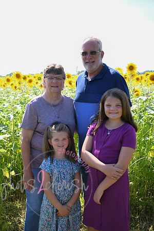 Sunflowers [Flagner] 061