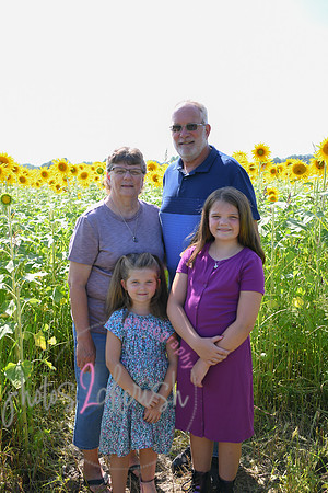 Sunflowers [Flagner] 062