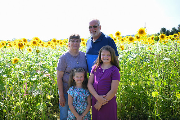 Sunflowers [Flagner] 063