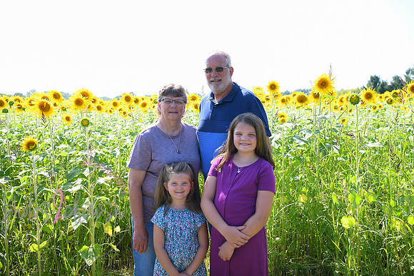 Sunflowers [Flagner] 064