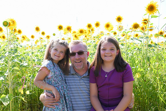 Sunflowers [Flagner] 065