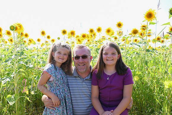 Sunflowers [Flagner] 066