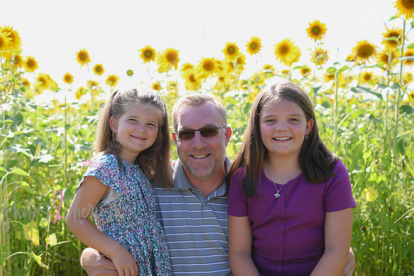 Sunflowers [Flagner] 067