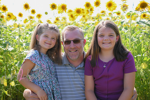Sunflowers [Flagner] 068