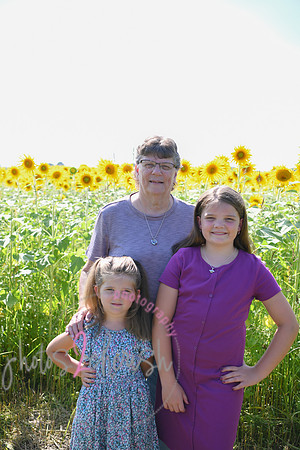 Sunflowers [Flagner] 069