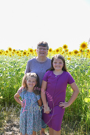 Sunflowers [Flagner] 070