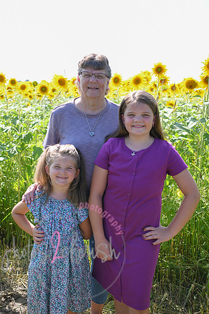 Sunflowers [Flagner] 071