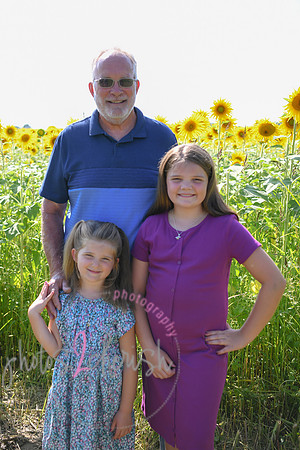 Sunflowers [Flagner] 072