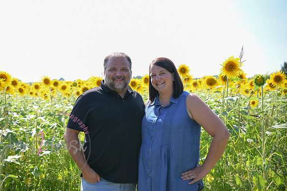 Sunflowers [Flagner] 076