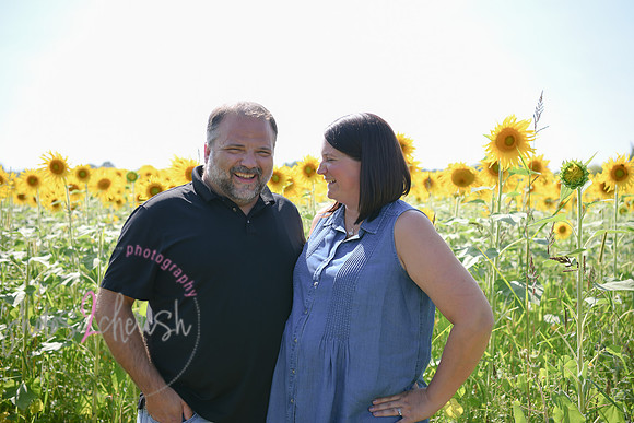 Sunflowers [Flagner] 082