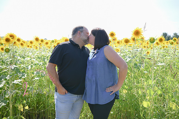 Sunflowers [Flagner] 086