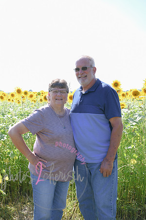 Sunflowers [Flagner] 087