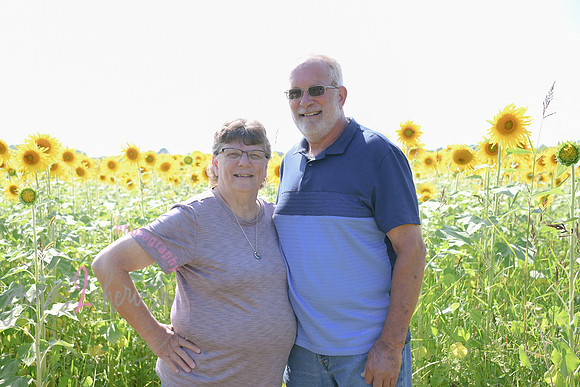 Sunflowers [Flagner] 089