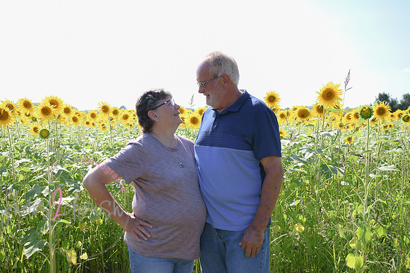 Sunflowers [Flagner] 090