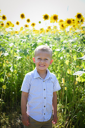 Sunflowers [Hutchinson] 001
