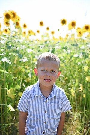 Sunflowers [Hutchinson] 002
