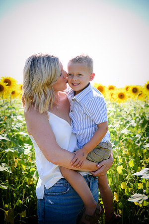 Sunflowers [Hutchinson] 013