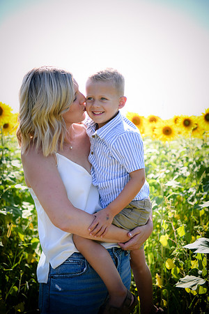 Sunflowers [Hutchinson] 014
