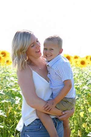 Sunflowers [Hutchinson] 016
