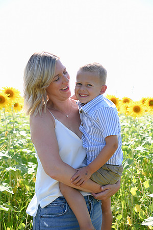 Sunflowers [Hutchinson] 017