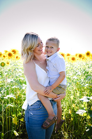 Sunflowers [Hutchinson] 018
